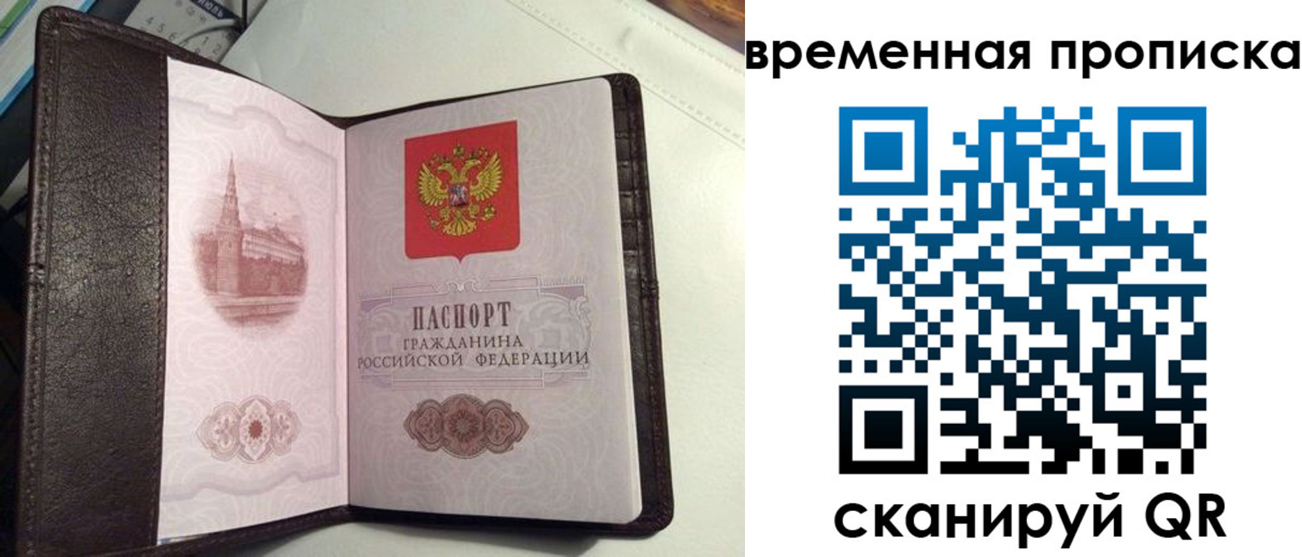 прописка 2025 в Кандалакше