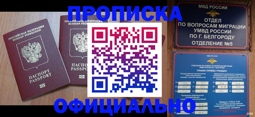найти адрес прописки в Кандалакше